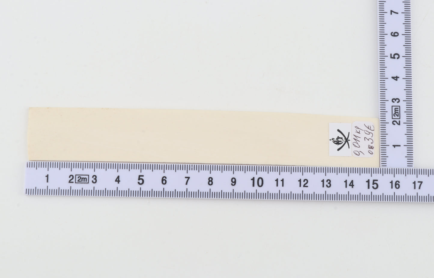 White mammoth ivory segment