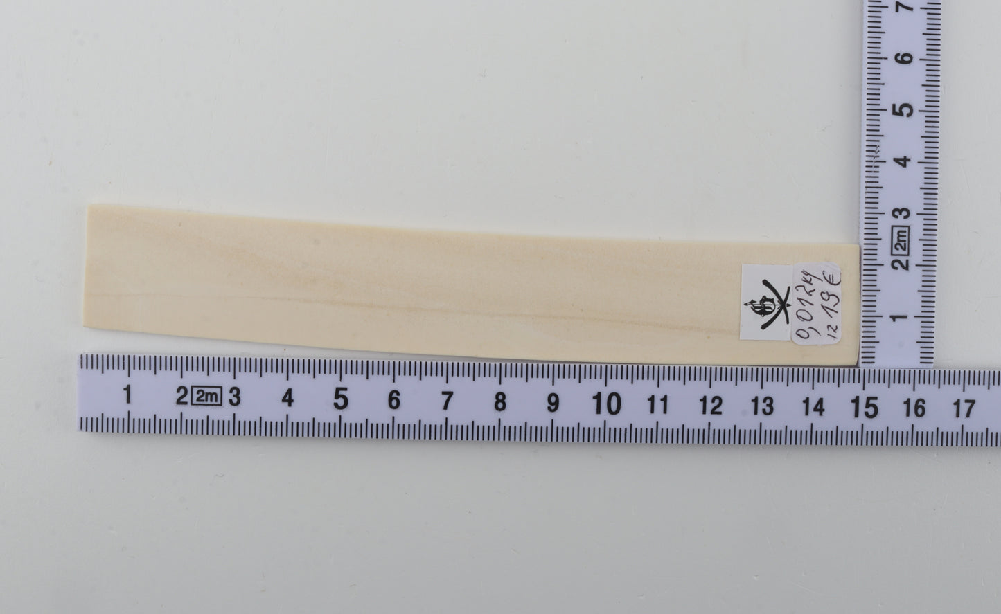 White mammoth ivory piece