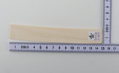 White mammoth ivory piece