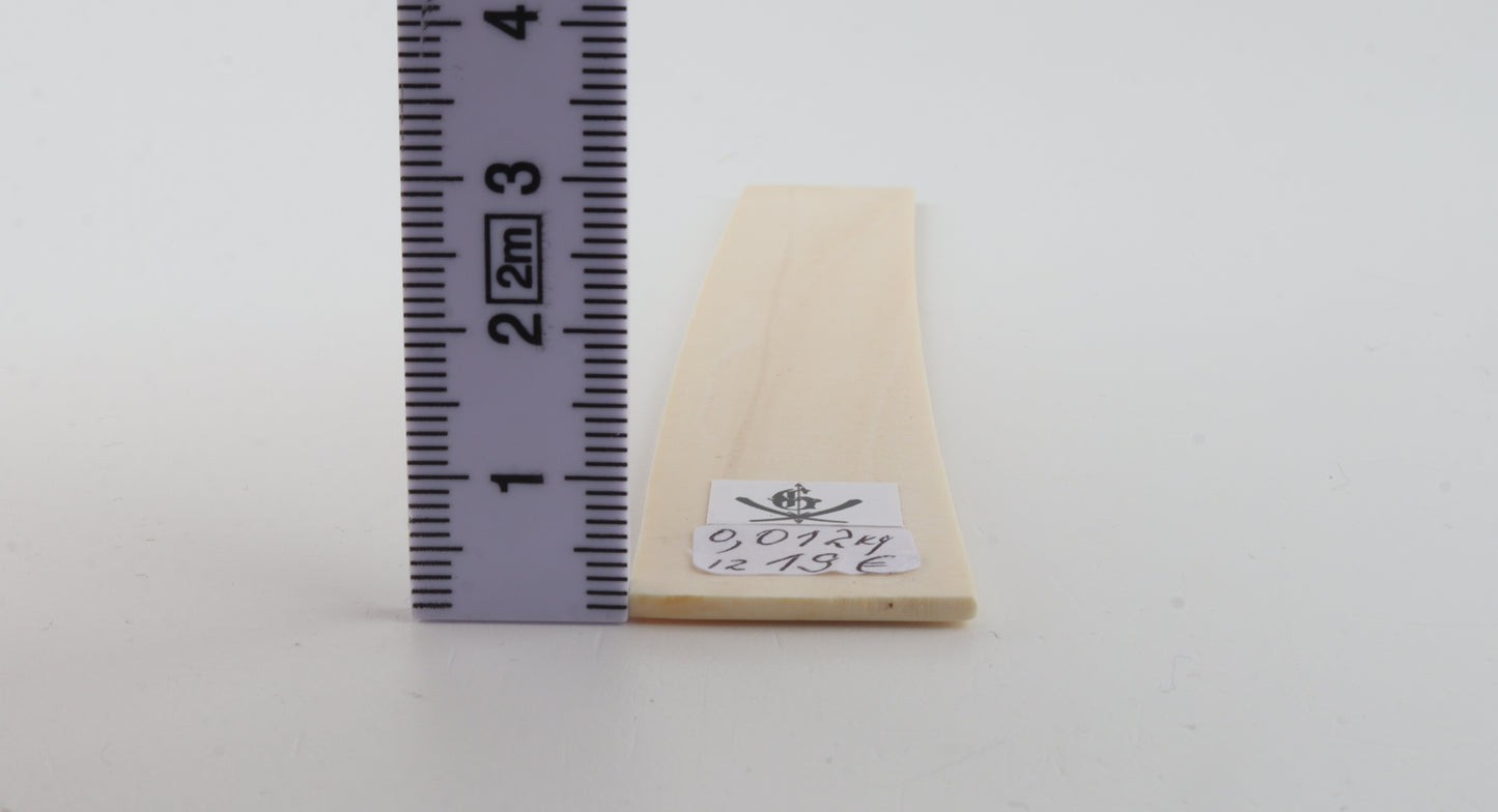 White mammoth ivory piece