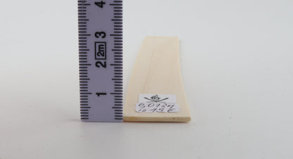 White mammoth ivory piece