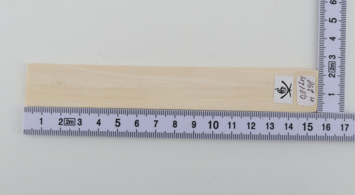 White mammoth ivory segment