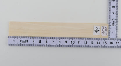 White mammoth ivory segment