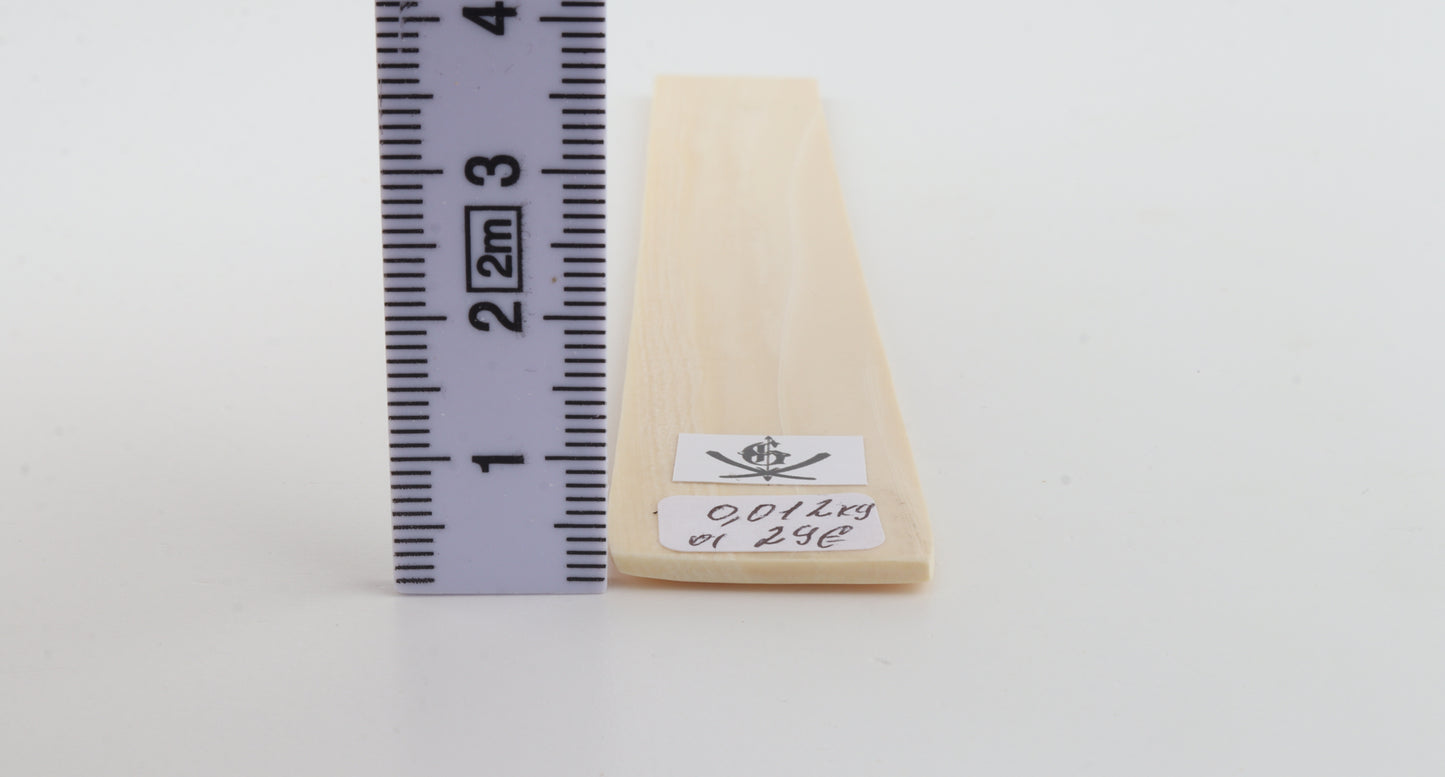 White mammoth ivory segment