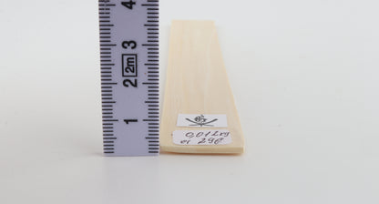 White mammoth ivory segment