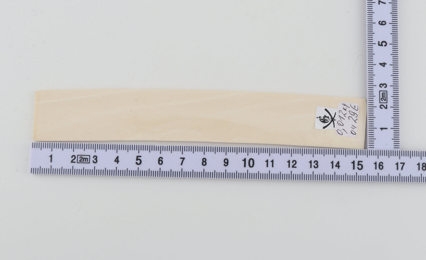 White mammoth ivory piece
