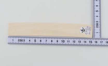 White mammoth ivory piece