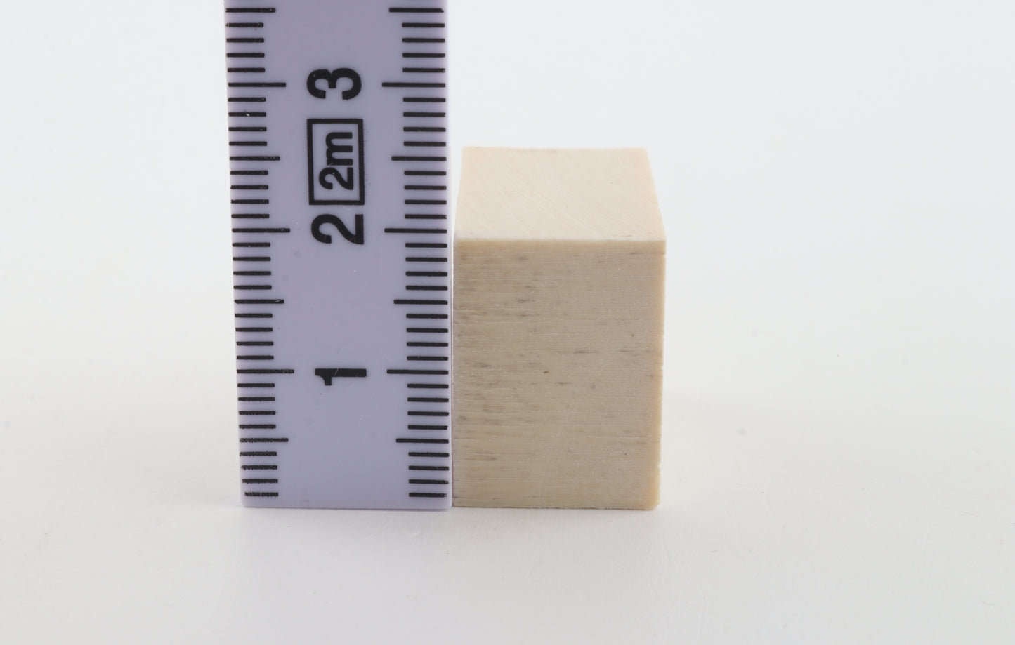White mammoth ivory segment