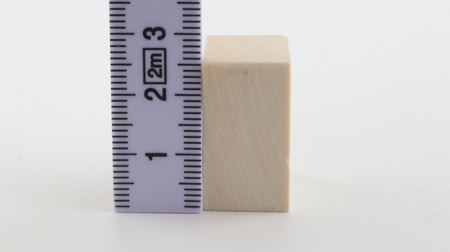 White mammoth ivory segment