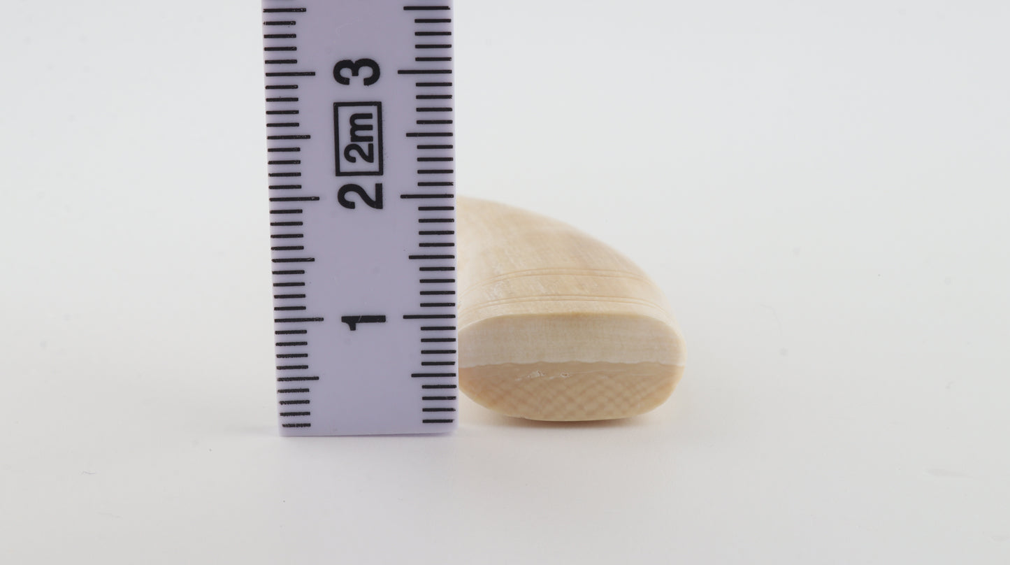 Carved mammoth ivory pendant
