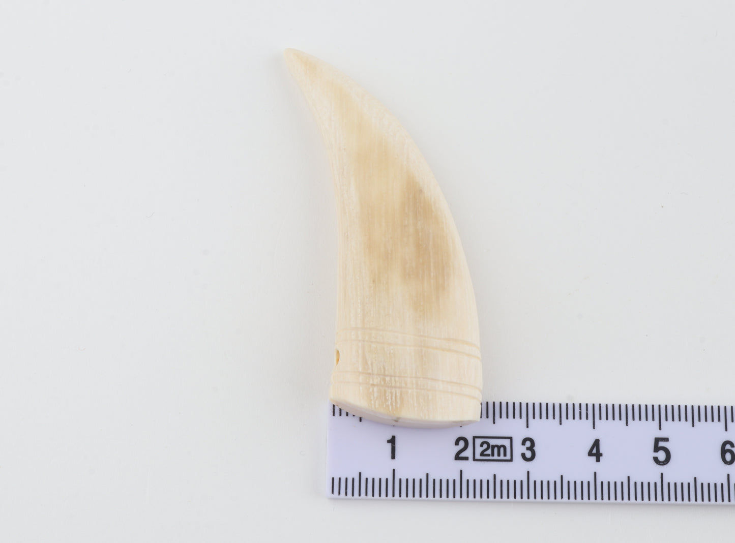 Carved mammoth ivory pendant