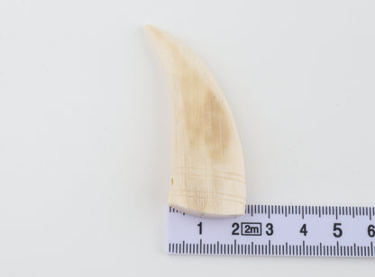 Carved mammoth ivory pendant