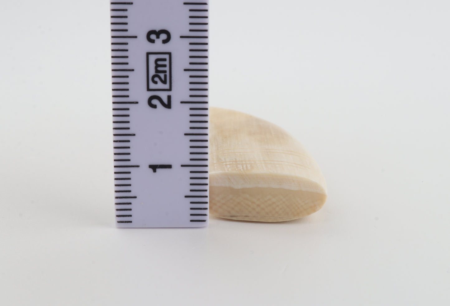Carved mammoth ivory pendant
