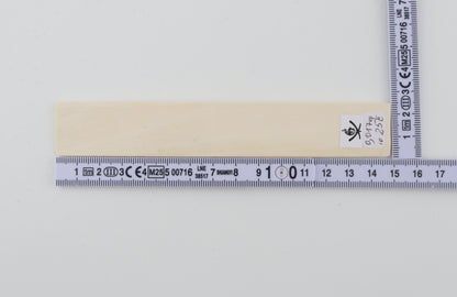 White mammoth ivory segment