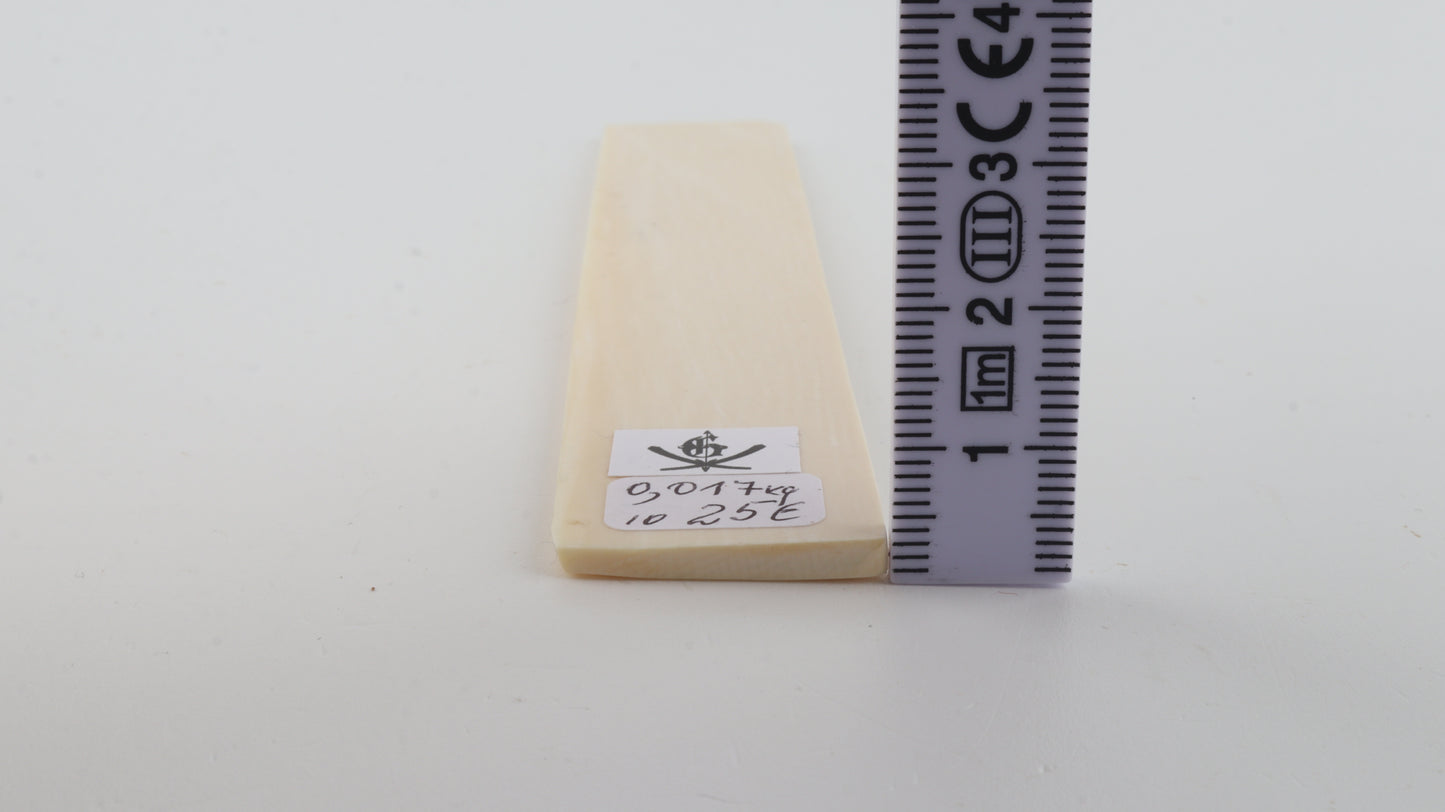 White mammoth ivory segment