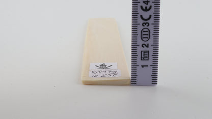 White mammoth ivory segment