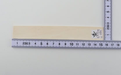 White mammoth ivory piece