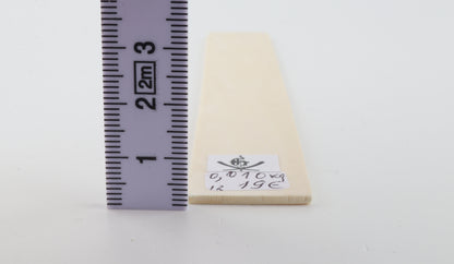 White mammoth ivory piece