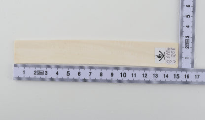 White mammoth ivory piece