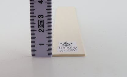 White mammoth ivory segment