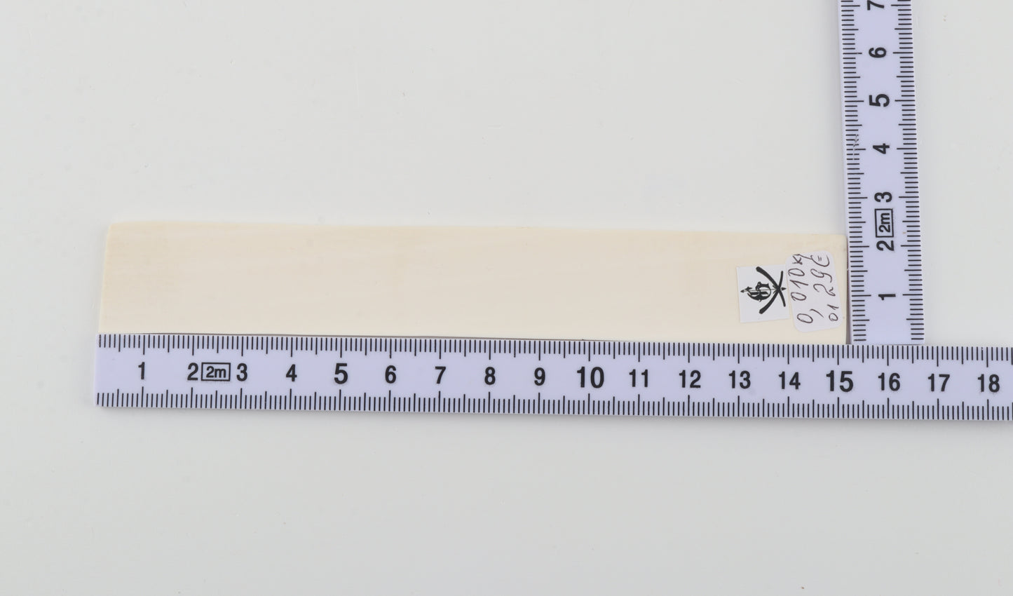 White mammoth ivory segment