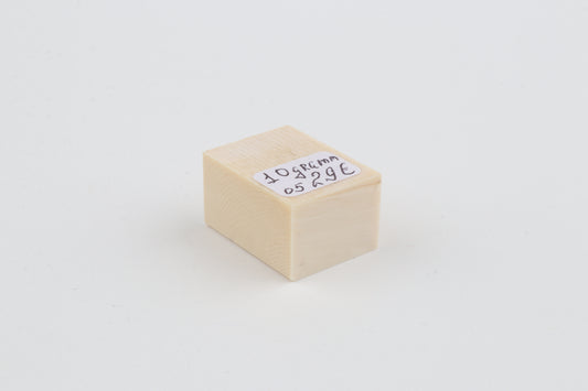 White mammoth ivory segment