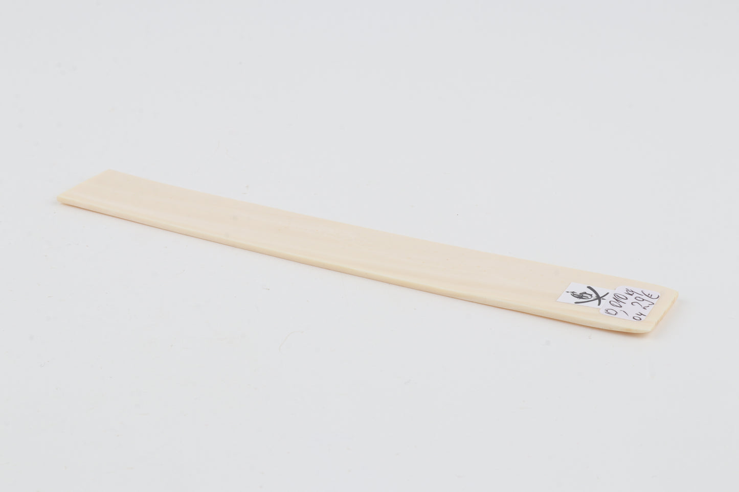 White mammoth ivory segment