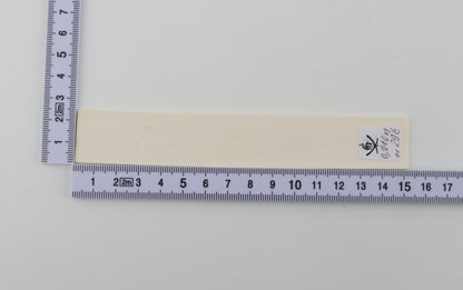 White mammoth ivory segment