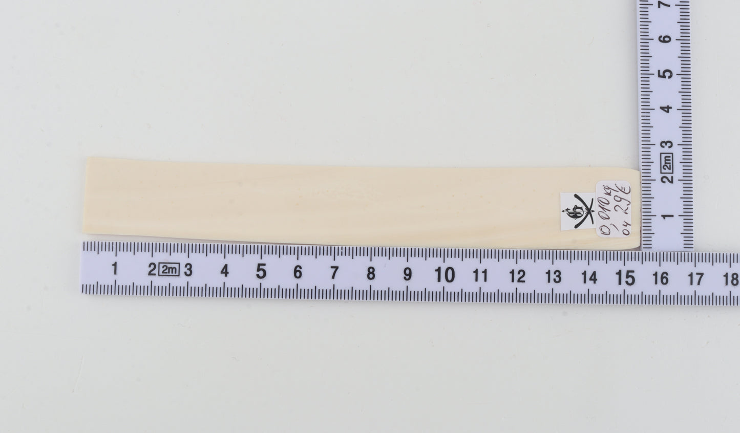 White mammoth ivory segment