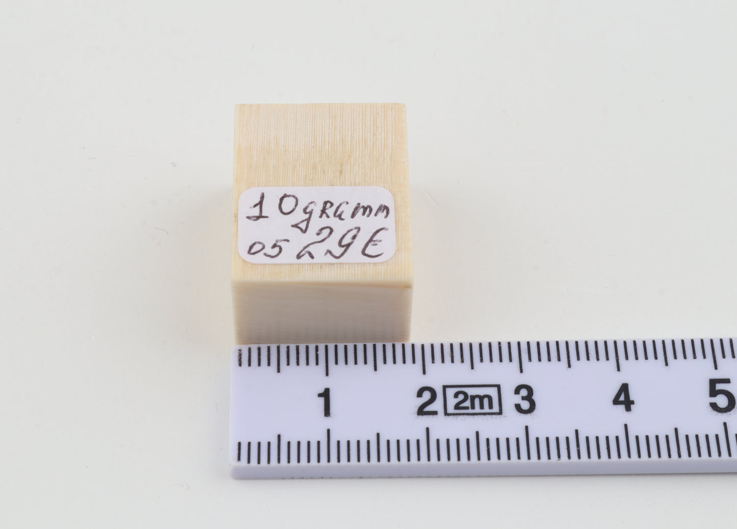 White mammoth ivory segment