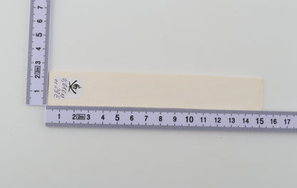 White mammoth ivory segment