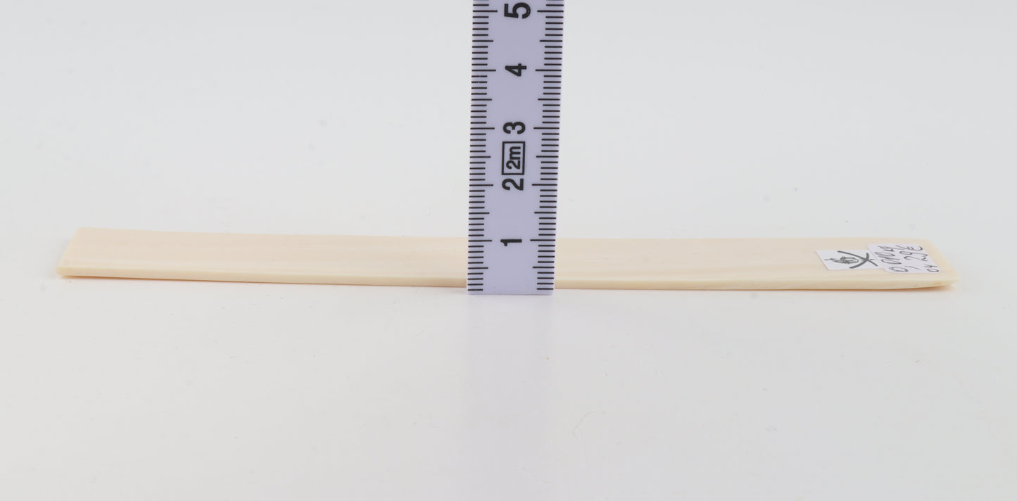 White mammoth ivory segment