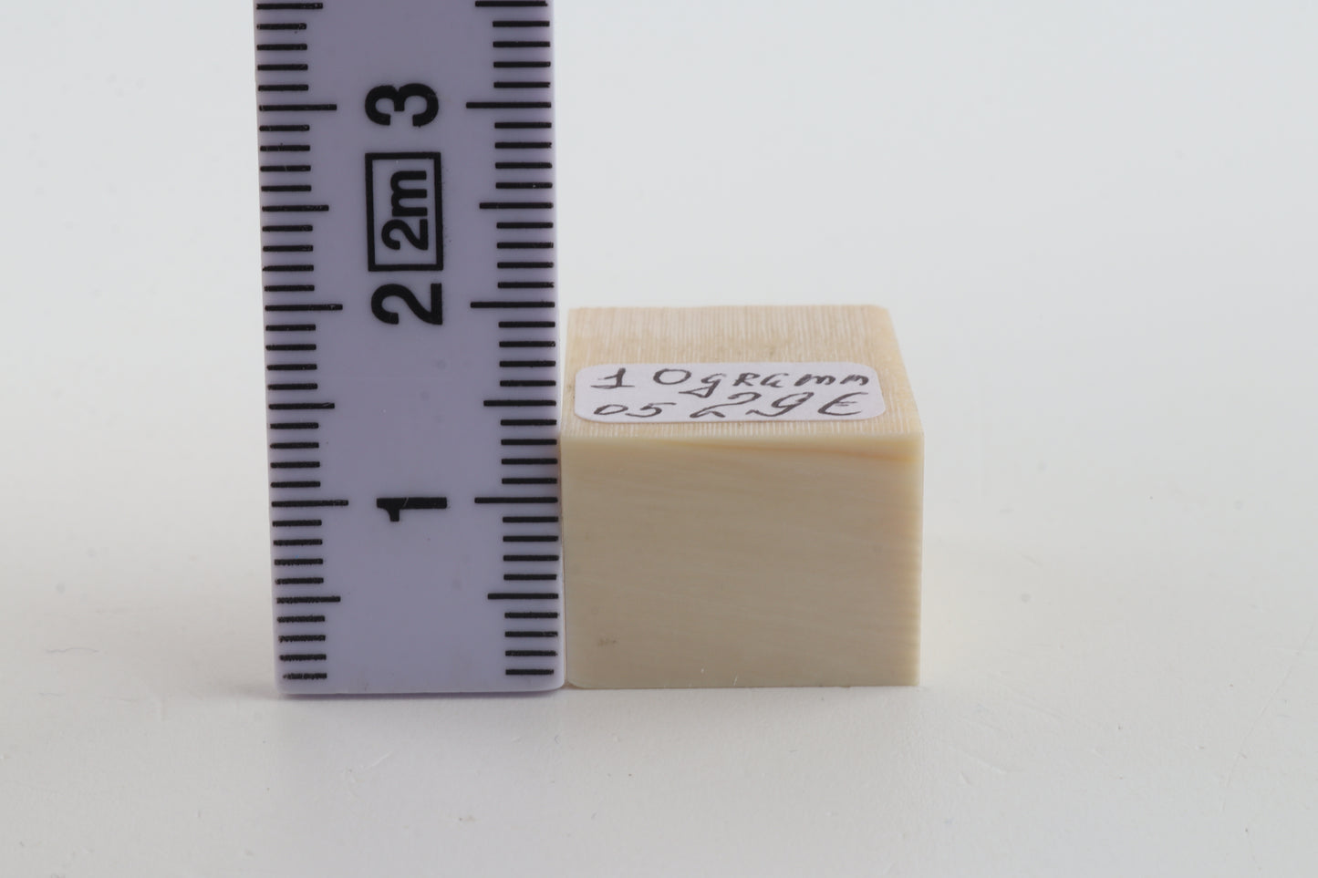 White mammoth ivory segment