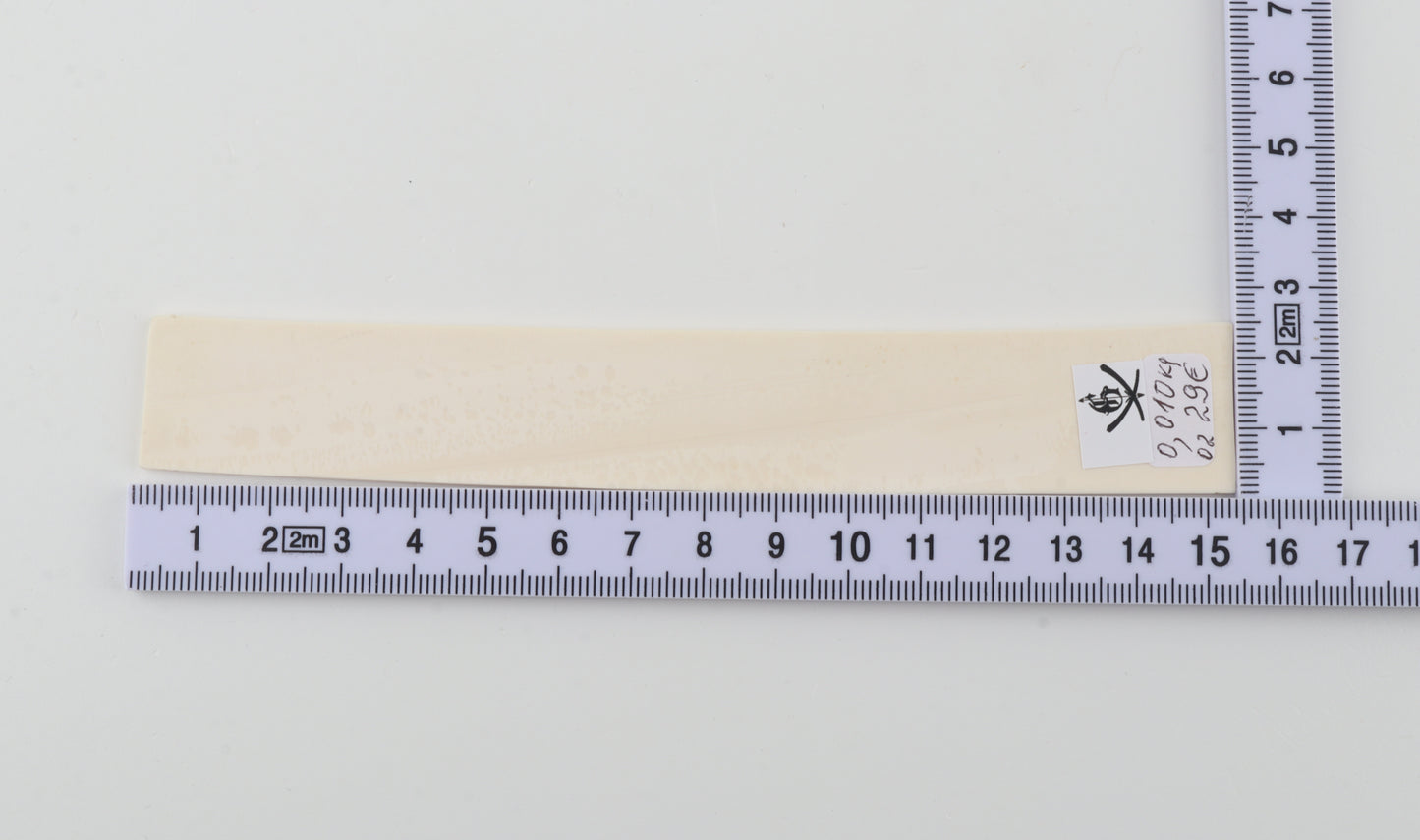 White mammoth ivory segment