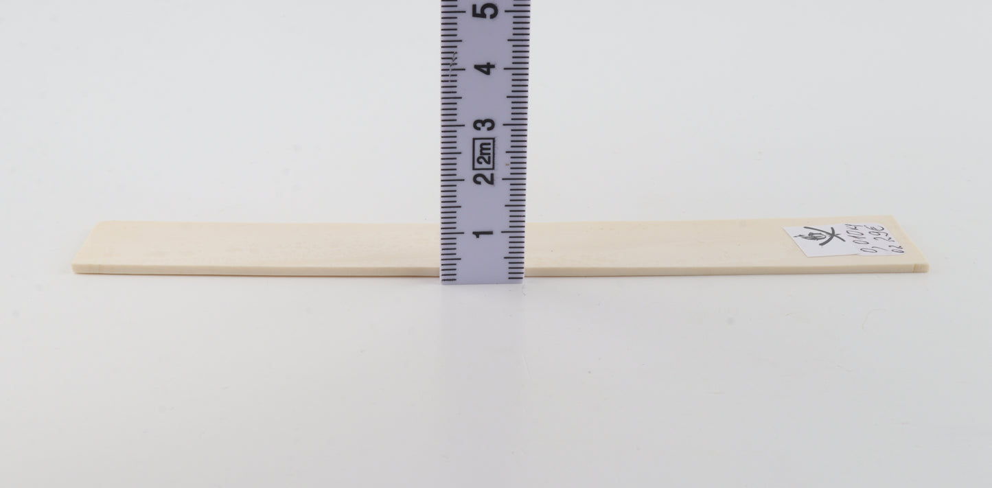 White mammoth ivory segment