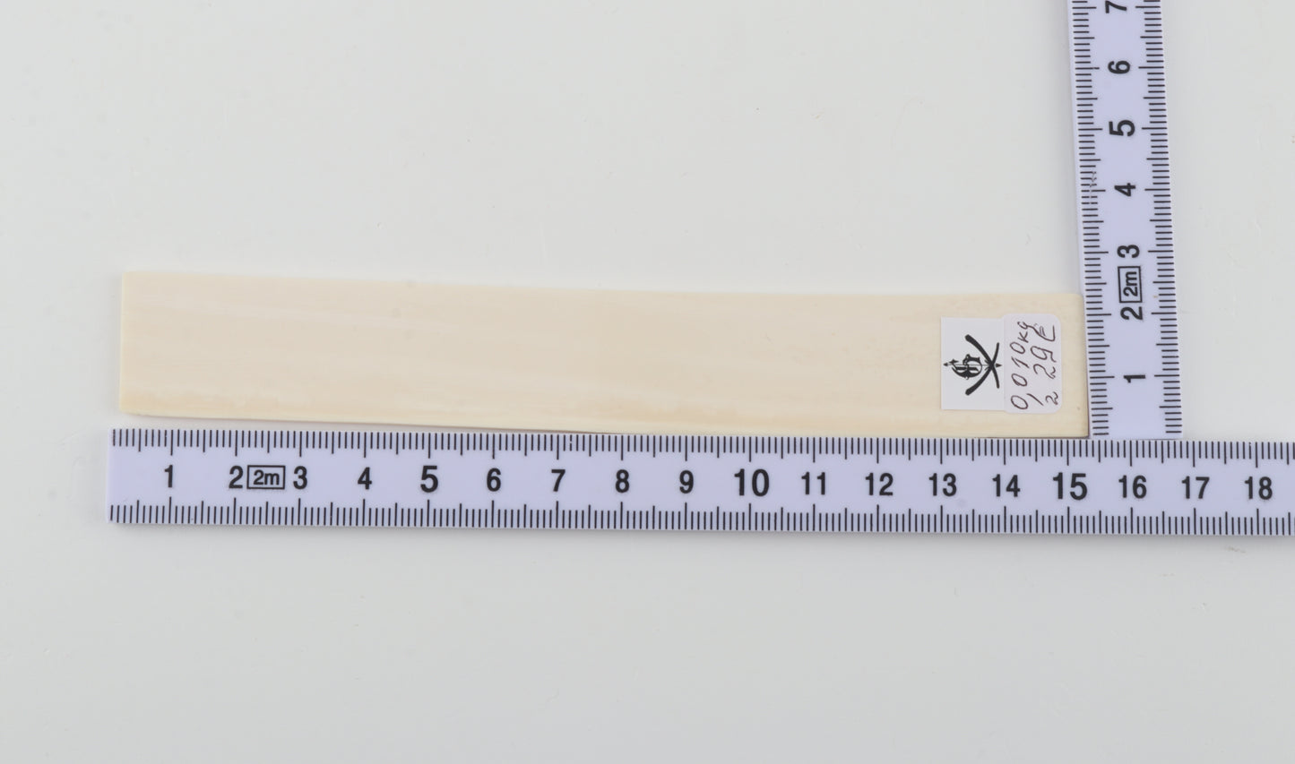 White mammoth ivory segment