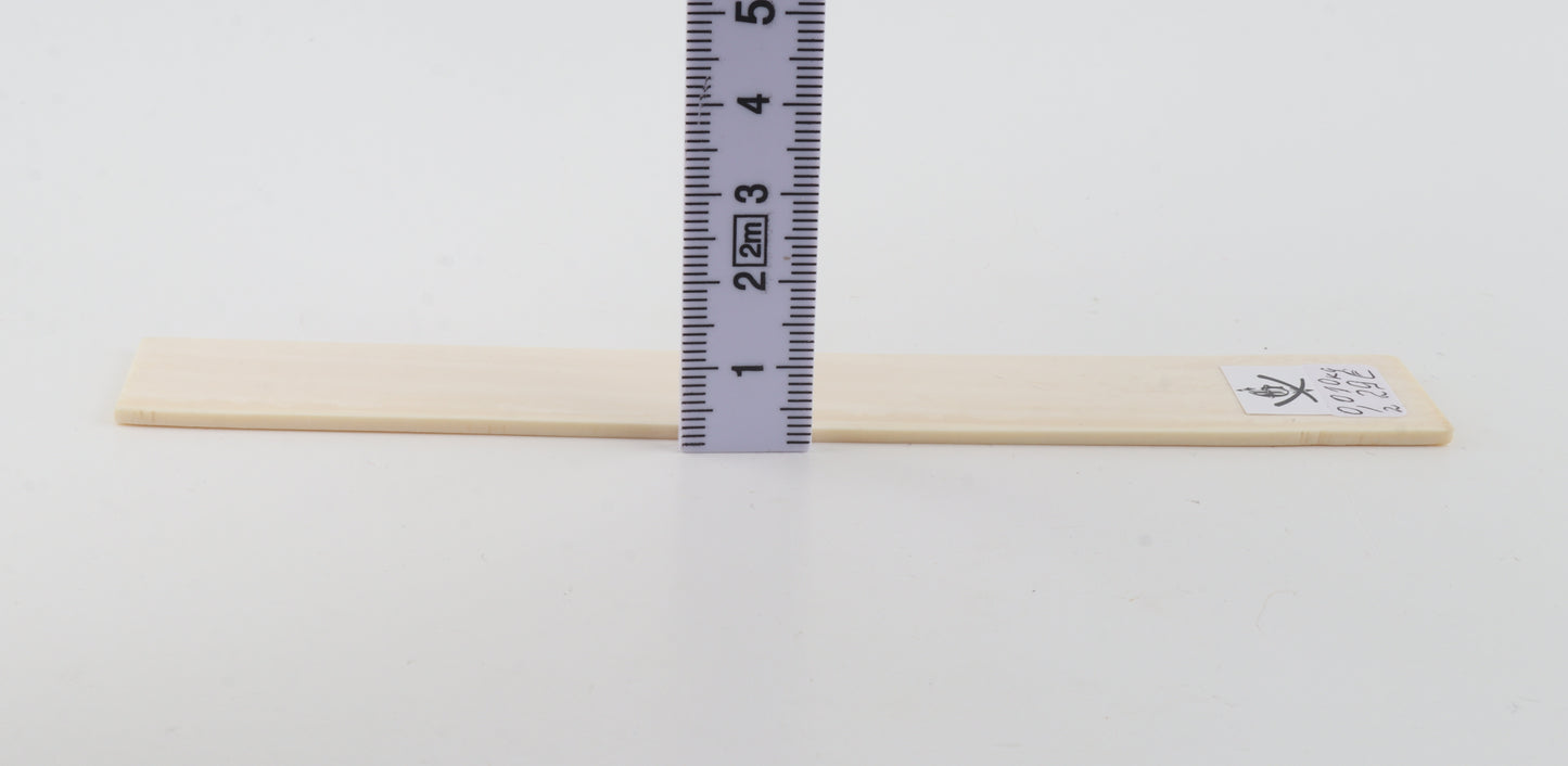 White mammoth ivory segment