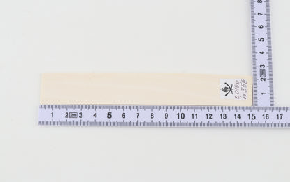 White mammoth ivory segment