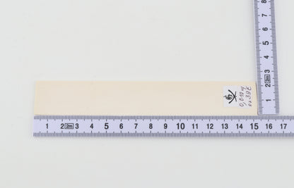 White mammoth ivory segment