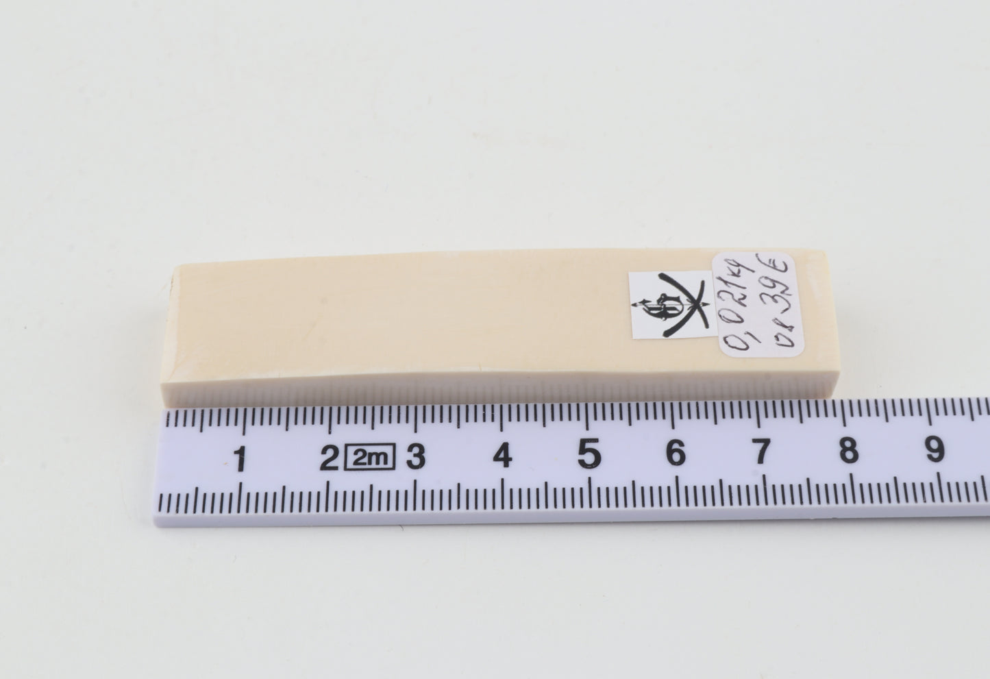 White mammoth ivory segment