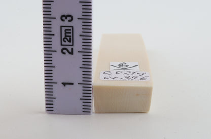 White mammoth ivory segment