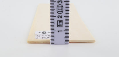 Natural mammoth ivory scales