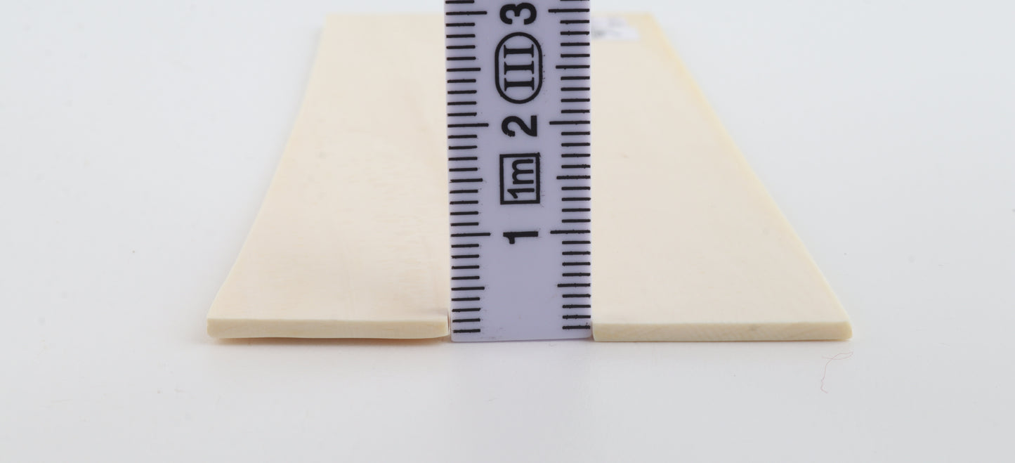 Natural mammoth ivory scales