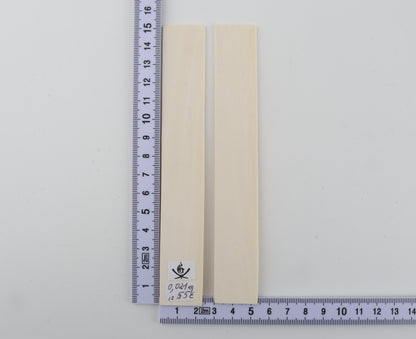 White mammoth ivory scales