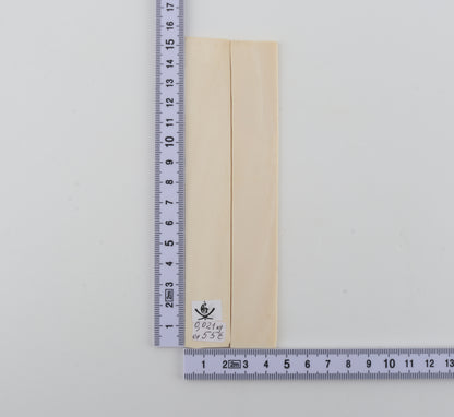 White mammoth ivory scales