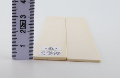 White mammoth ivory scales