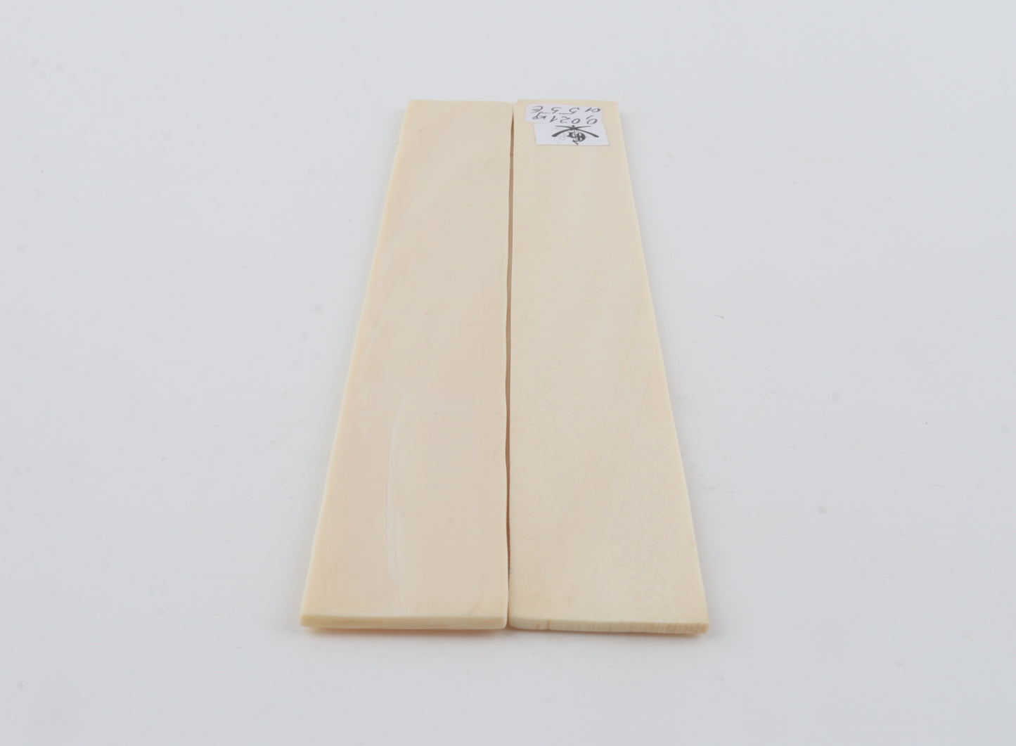 White mammoth ivory scales