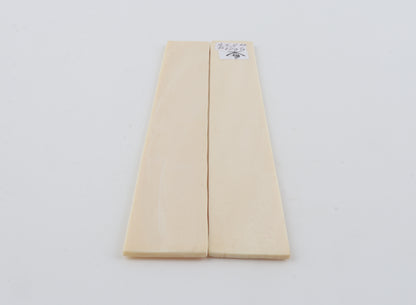 White mammoth ivory scales