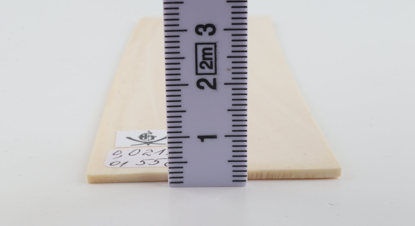 White mammoth ivory scales