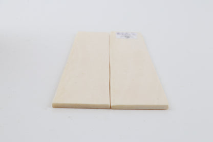 White mammoth ivory scales